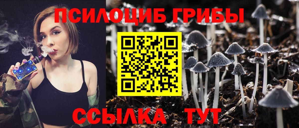 Псилоцибиновые грибы Psilocybine cubensis Коркино