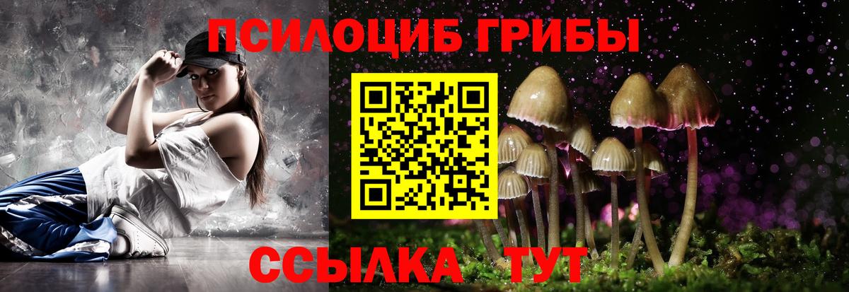 Коркино  Псилоцибиновые грибы Cubensis  Галлюциногенные грибы мицелий  Вход с VPN 